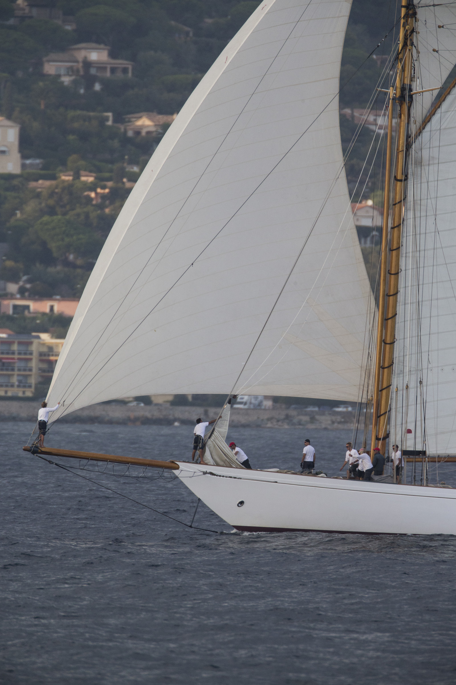 02 10 2014, Saint-Tropez (FRA,83), Voiles de Saint-Tropez 2014, Day 4, 02 10 2014, Saint-Tropez (FRA,83), Voiles de Saint-Tropez 2014, Day 4,