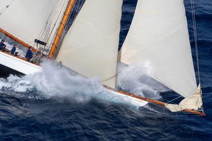 1 10 2024, Saint-Tropez (FRA), Les Voiles de Saint-Tropez 2024, Race Day 2