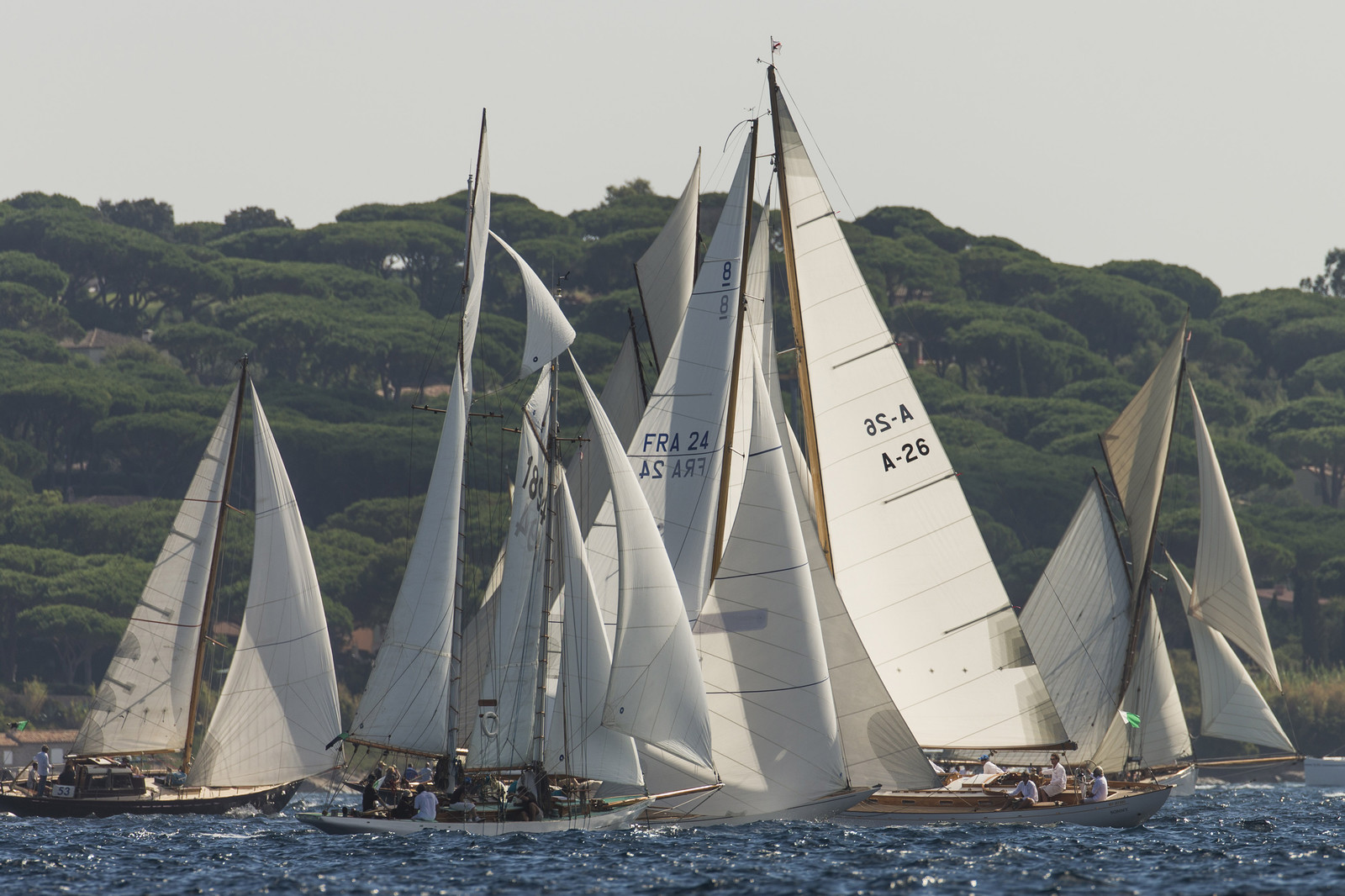 01 10 2013 - Saint-Tropez (FRA,83) - Voiles de Saint-Tropez 2013 - Day 2 01 10 2013 - Saint-Tropez (FRA,83) - Voiles de Saint-Tropez 2013 - Day 2