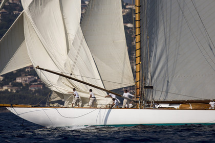 02 10 2014, Saint-Tropez (FRA,83), Voiles de Saint-Tropez 2014, Day 4, flotte des classiques   Classic fleet