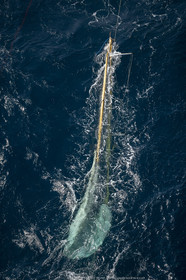 4 10 2018, Saint-Tropez (FRA,83), Les Voiles de Saint-Tropez, jour 5