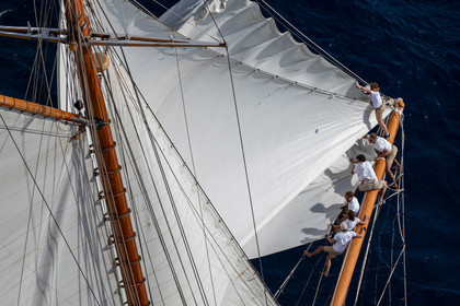1 10 2024, Saint-Tropez (FRA), Les Voiles de Saint-Tropez 2024, Race Day 2