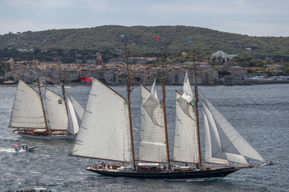 28 09 2022? Saint-Tropez,(FRA,83), Les Voiles de Saint-Tropez 2022 Régate N° 2 poup les modernes, navigation libre pour les grandes goélettes