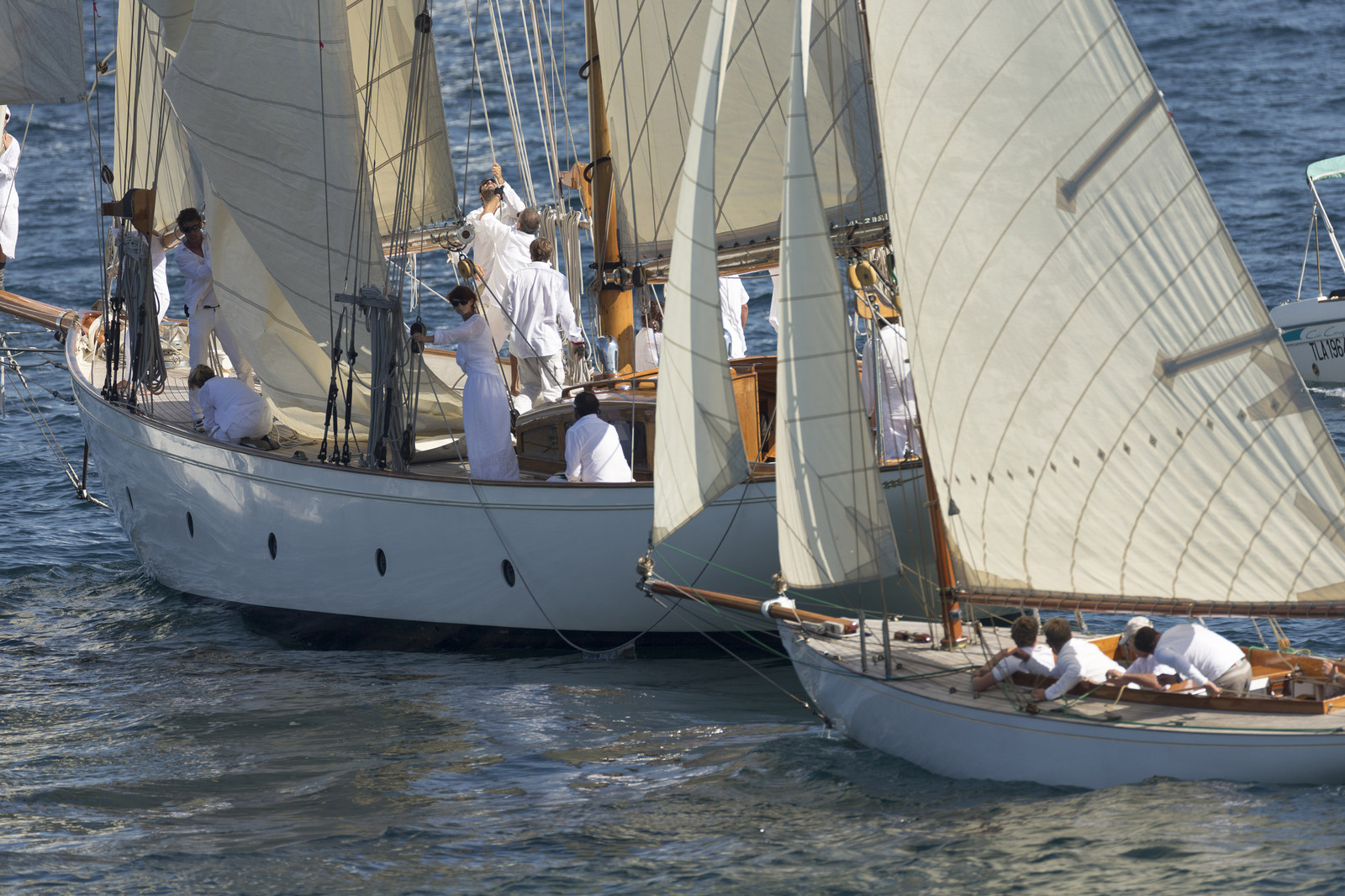 02 10 2014, Saint-Tropez (FRA,83), Voiles de Saint-Tropez 2014, Day 4, 02 10 2014, Saint-Tropez (FRA,83), Voiles de Saint-Tropez 2014, Day 4,