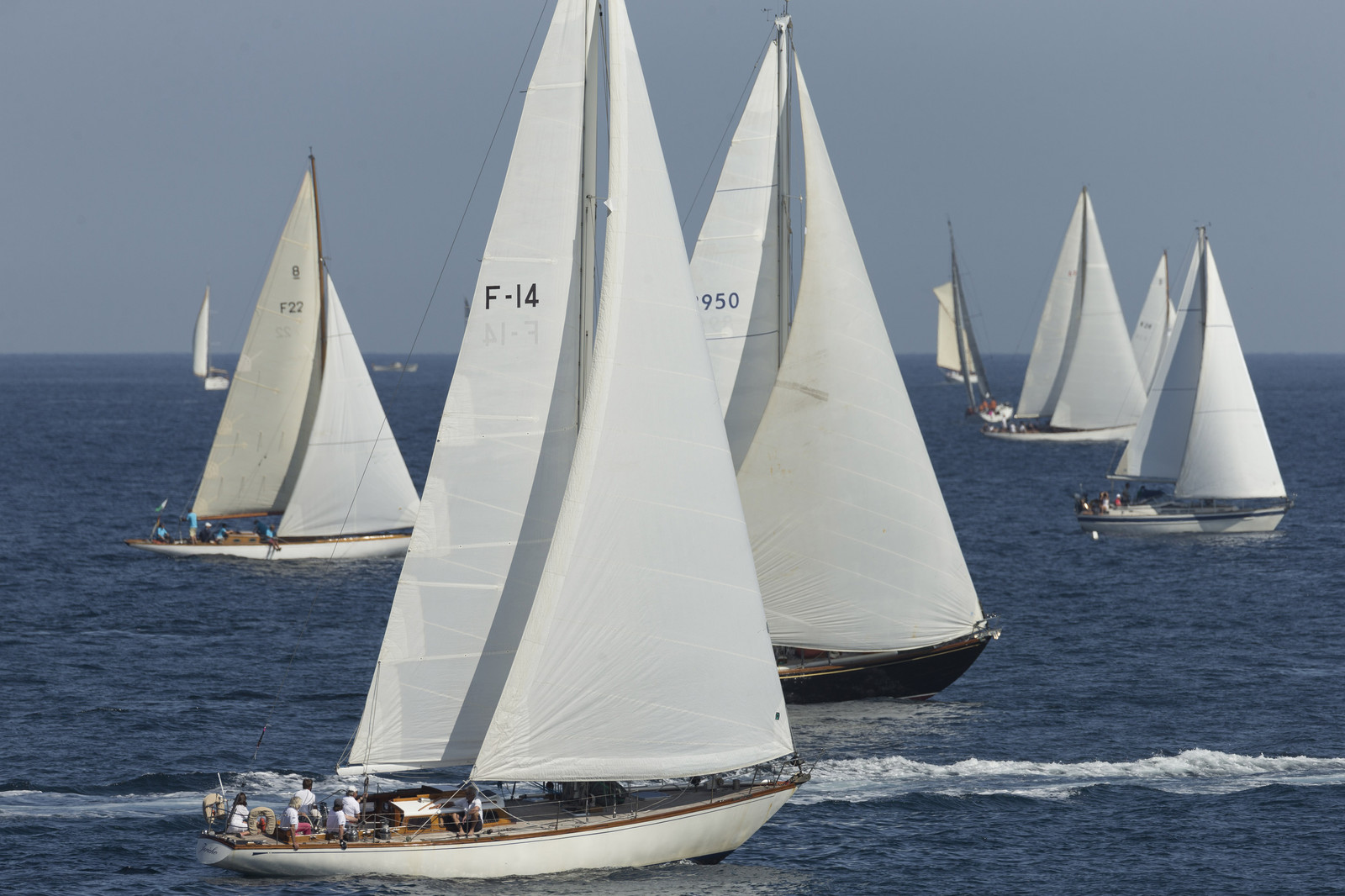 02 10 2014, Saint-Tropez (FRA,83), Voiles de Saint-Tropez 2014, Day 4,