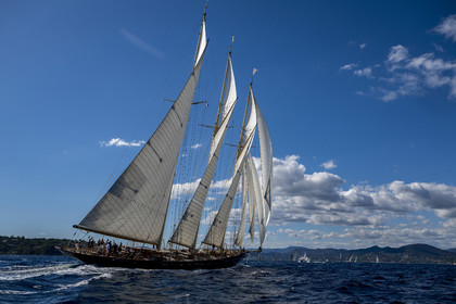 ©Les Voiles de Saint-Tropez  2024