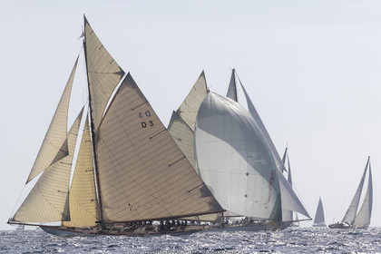 01 10 2019, Saint-Tropez (FRA,83), Les Voiles de Saint-Tropez 2019, day 2