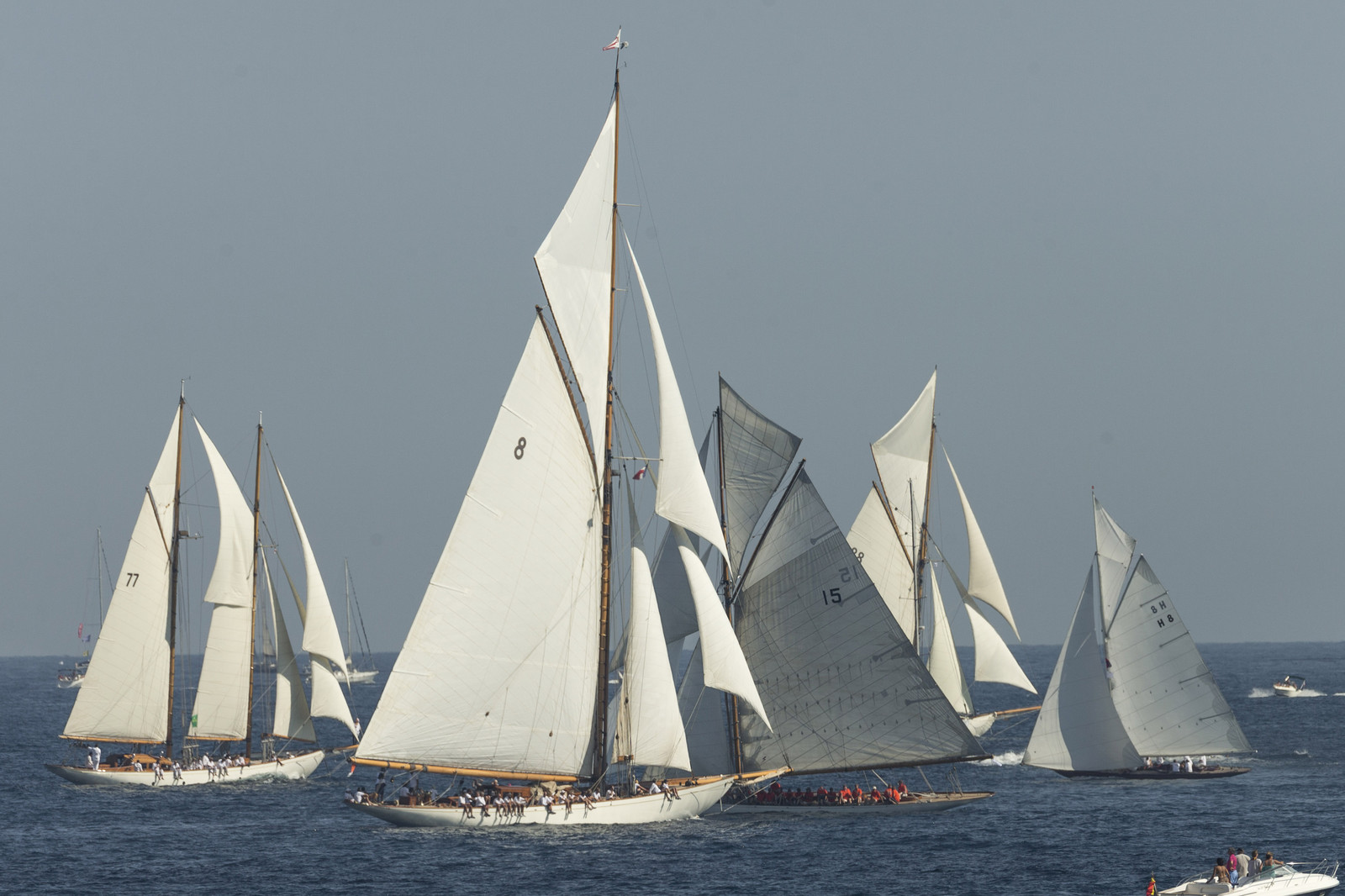 02 10 2014, Saint-Tropez (FRA,83), Voiles de Saint-Tropez 2014, Day 4,