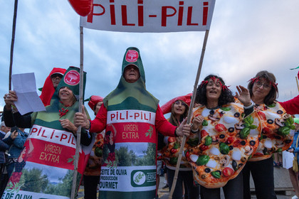 02 10 2025, Saint-Tropez (FRA), Les Voiles de SAint-Tropez 2025, Défilé des équipages