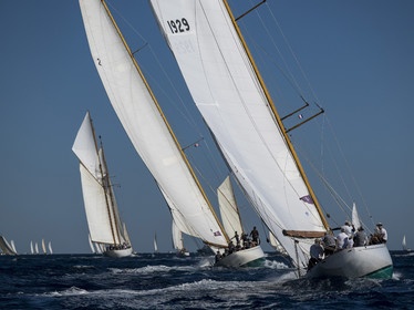 ©Les Voiles de Saint-Tropez  2024