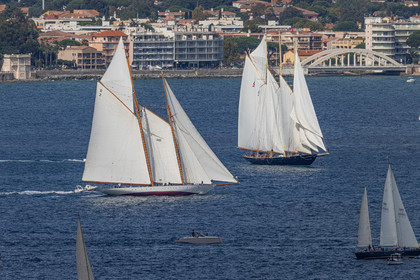 03 10 2025, Saint-Tropez (FRA), LEs VOiles de Saint-Tropez 2025, Race Day 5